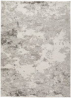 grey traditional rug portrait