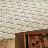 ivory wool rug in a living room with natural decor