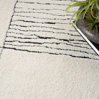 ivory black abstract linear rug closeup detail with plant