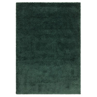 emerald shaggy rug portrait