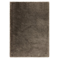 gunmetal shaggy rug portrait