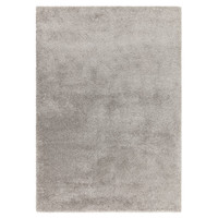 silver shaggy rug portrait