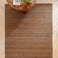 rust plain rug in a living room with matching decor