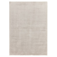 silver plain shaggy rug portrait
