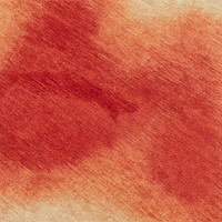 red peanut shape rug closeup detail