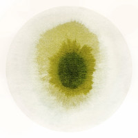 green abstract eco rug portrait