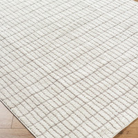 ivory taupe rug closeup corner on wood floor