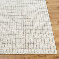 ivory taupe rug closeup corner on wood floor