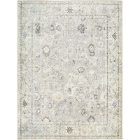 grey traditional rug portrait