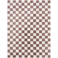 brown checker shaggy rug portrait