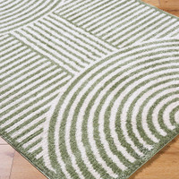 green geometric shaggy rug closeup corner on wood floor