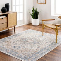 beige traditional rug in a room with matching decor