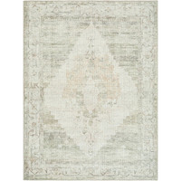 sage traditional rug portrait