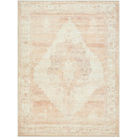 blush traditional rug portrait