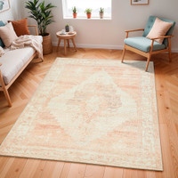 blush traditional rug in a room with matching decor