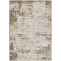 cream abstract rug portrait