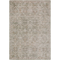 olive abstract rug portrait