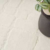 ivory wool rug closeup with plant pot
