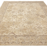 beige traditional rug portrait