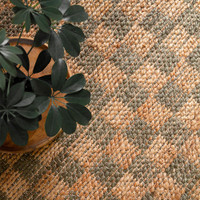 green jute rug closeup with a plant pot