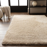 natural shaggy rug in a living room with matching decor