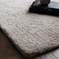 silver shaggy rug in a living room with matching decor
