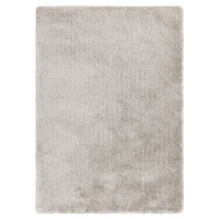 silver shaggy rug portrait