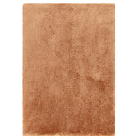 terracotta shaggy rug portrait