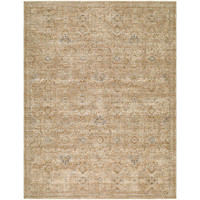 Penny 03 Vintage Traditional Brown Rug by Becki Owens x Livabliss