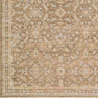 Penny 04 Vintage Traditional Brown Rug by Becki Owens x Livabliss
