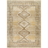 Fifth Avenue Vintage Traditional Brown Rug
