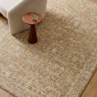 Penny 06 Vintage Traditional Brown Rug by Becki Owens x Livabliss