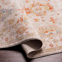 Avant Garde Vintage Traditional Grey Rug