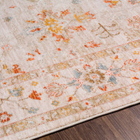 Avant Garde Vintage Traditional Grey Rug