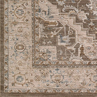 Arda Vintage Traditional Brown Taupe Rug