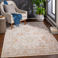 Avant Garde Vintage Traditional Beige Rug