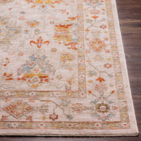 Avant Garde Vintage Traditional Beige Rug