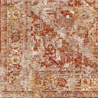 Mirabel Vintage Traditional Brown Rug