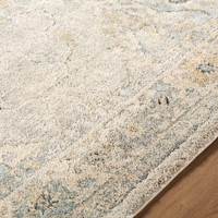 Avellino Vintage Traditional Boho Grey Rug