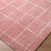 Fossay Washable Modern Shaggy Pink Rug