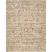 Penny 00 Vintage Traditional Brown Rug by Becki Owens x Livabliss