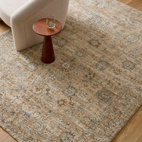 Penny 00 Vintage Traditional Brown Rug by Becki Owens x Livabliss