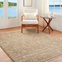 Penny 02 Vintage Traditional Brown Rug by Becki Owens x Livabliss