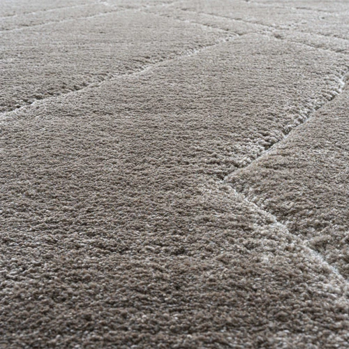 Silky Soft Dune Rug 7292