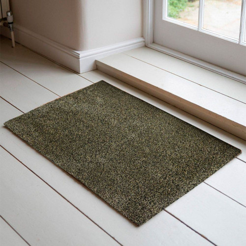 brown dirt trapper doormat in a doorway