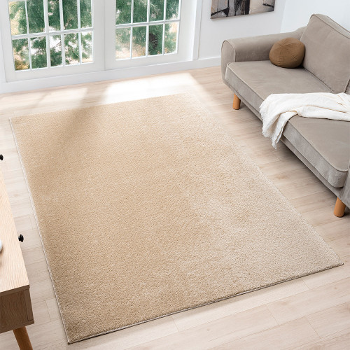 plain beige rug room