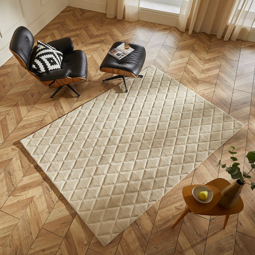 beige wool rug in a living room with natural decor
