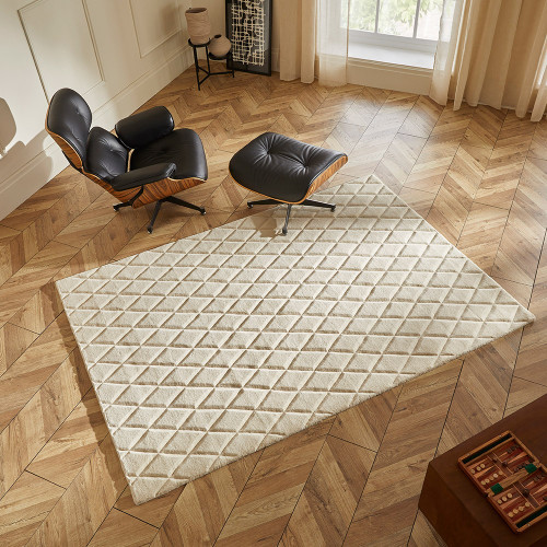 ivory wool rug in a living room with natural decor