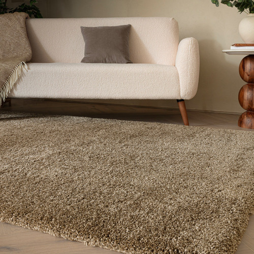 natural shaggy rug in a living room with matching decor
