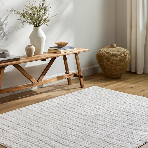 ivory taupe rug in a room with matching decor